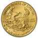 1oz american eagle gold coin